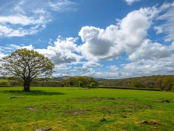 Вилла Brynhir Farm Лландриндод-Уэлс Экстерьер фото